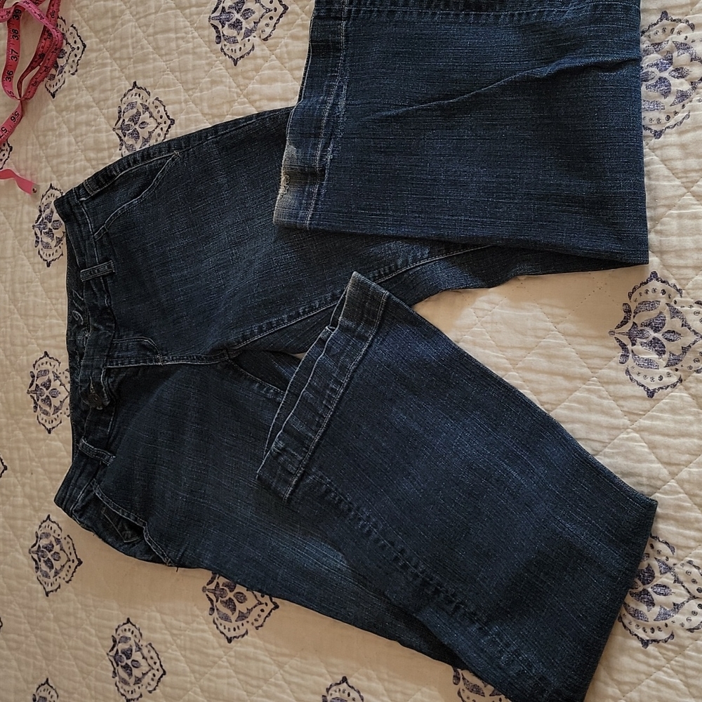 The Limited Flare Cut Jeans Sz 6L